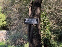 Wall with inscriptions