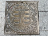 Električna Struja plate