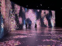 Proliferating Immense Life - A Whole Year per Year at Superblue Miami