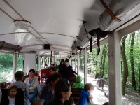 Gyermekvasút (Children’s Railway)