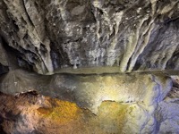 Log in the silver mine