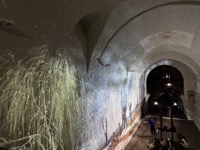 In the Embrace of Impressionism at Ljubljana Castle