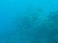 View from semi-submersible